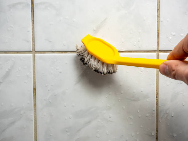 Best Office Mold Removal Services  in Ringwood, NJ